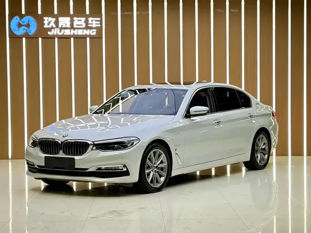 BMW 5 Series New Energy 2018 530Le Luxury Package