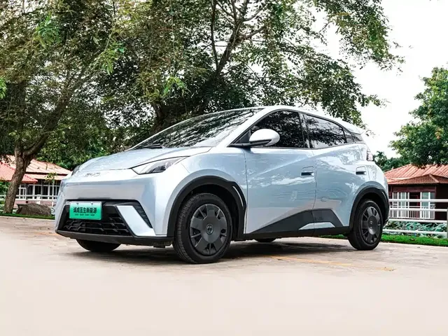 BYD Seagull 2024 Glory Edition 305km Vitality Edition