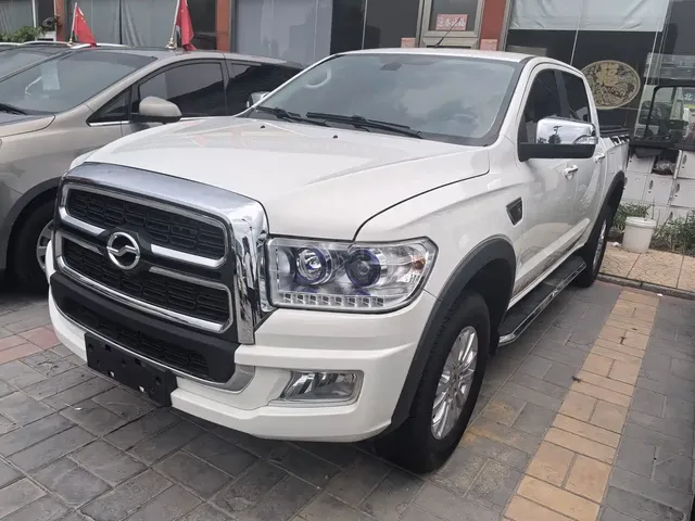 ZTE Lord 2019 2.4T Passenger Version Gasoline 2WD Manual Ultra Luxury Standard Double