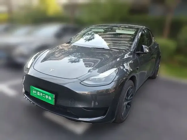 Tesla Model Y 2024 Rear-Wheel Drive Version