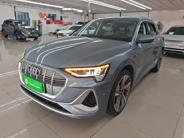 Audi e-tron 2021 50 quattro Exclusive Selection