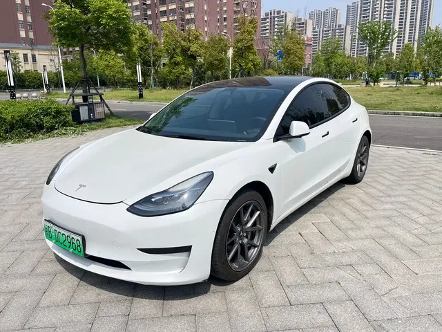 Tesla Model 3 2021 Standard Range Rear-Wheel Drive Upgrade 3D6