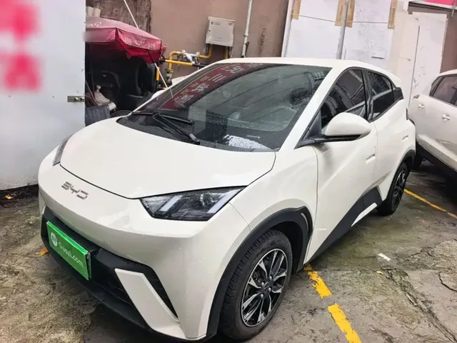 BYD Seagull 2024 Glory Edition 305km Vitality Edition