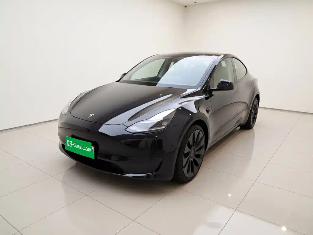 Tesla Model Y 2021 Performance High-Performance AWD