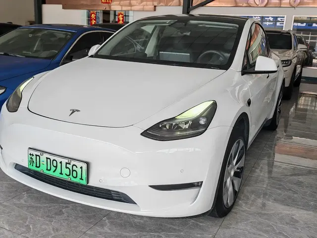 Tesla Model Y 2021 Standard Range Rear-Wheel Drive