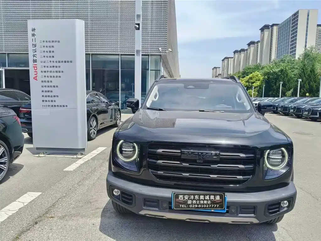 Haval Big Dog 2021 1.5T DCT 2WD Border Collie Edition