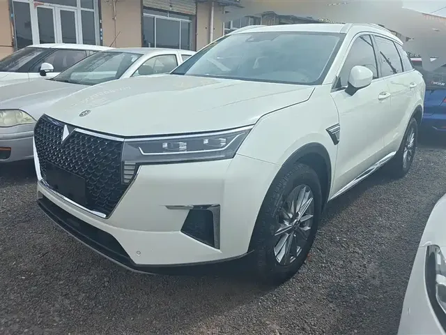 Venucia Star 2020 260T Automatic 48V Mild Hybrid Turbo Star Enjoy Edition