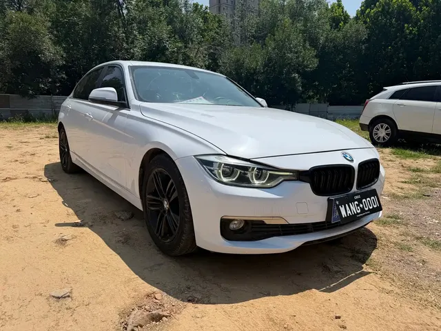 BMW 3 Series 2018 318Li