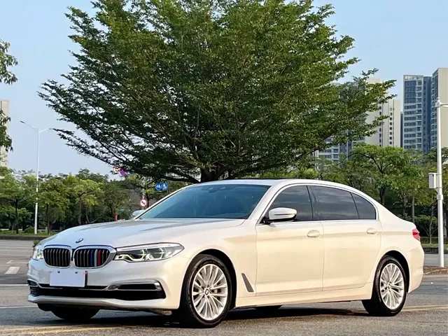 BMW 5 Series 2020 530Li Leading Luxury Package