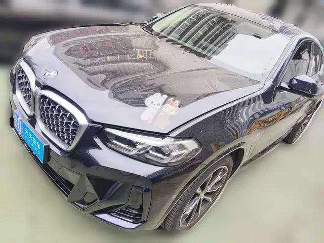 BMW X4 2022 xDrive 30i M Sport Package