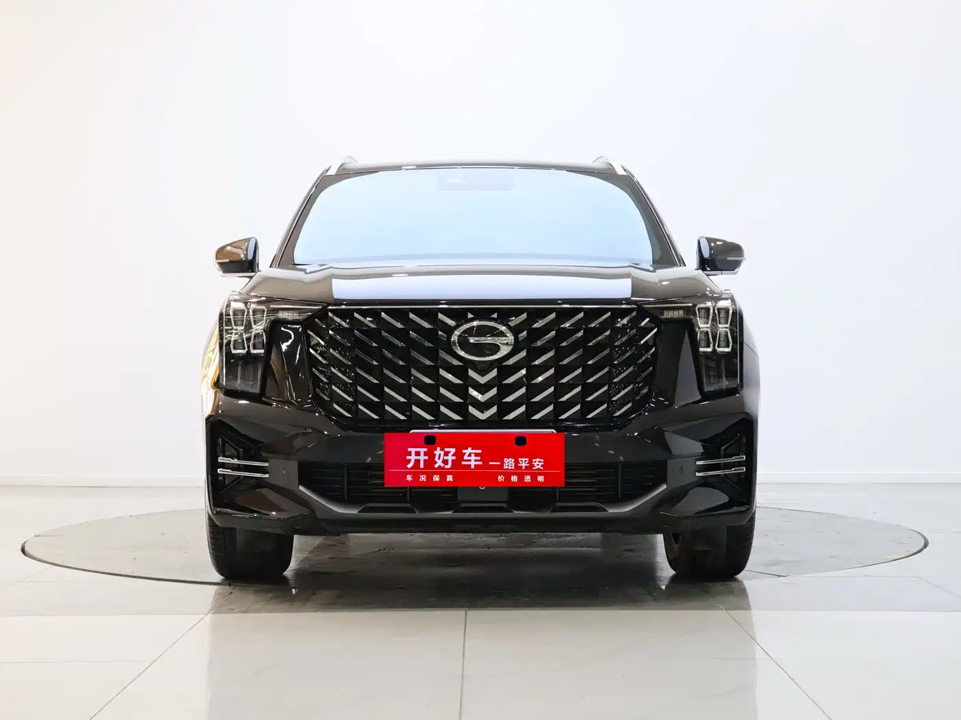 GAC Trumpchi GS8 2025 Pilot Series 2.0TGDI 2WD Luxury Edition 5-seater