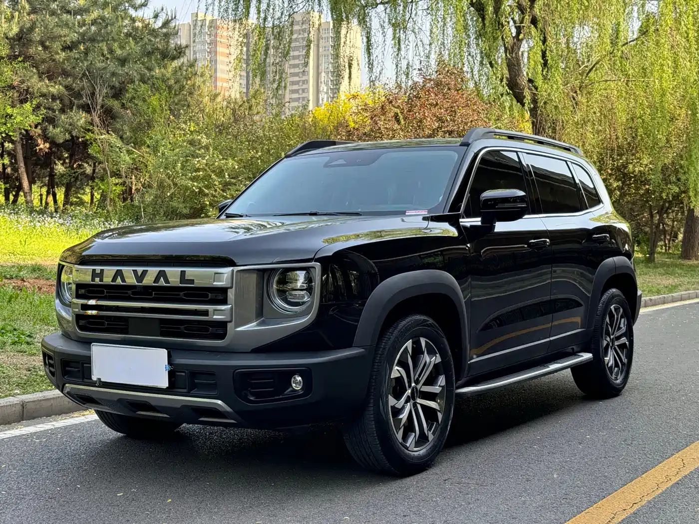 Haval Big Dog 2024 1.5T DCT Border Collie Edition