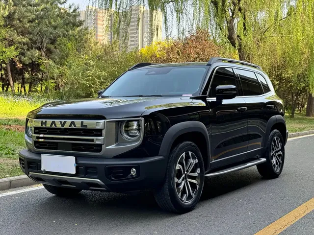 Haval Big Dog 2024 1.5T DCT Border Collie Edition