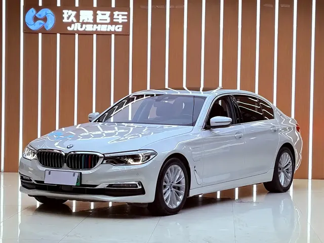 BMW 5 Series New Energy 2019 530Le Pioneer Edition