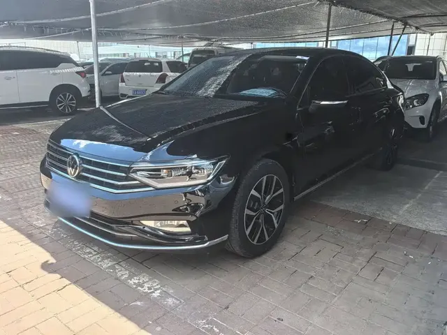 Volkswagen Magotan 2020 330TSI DSG Leading