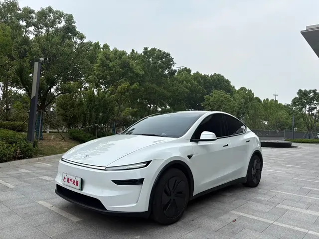 Tesla Model Y 2025 Rear-Wheel Drive