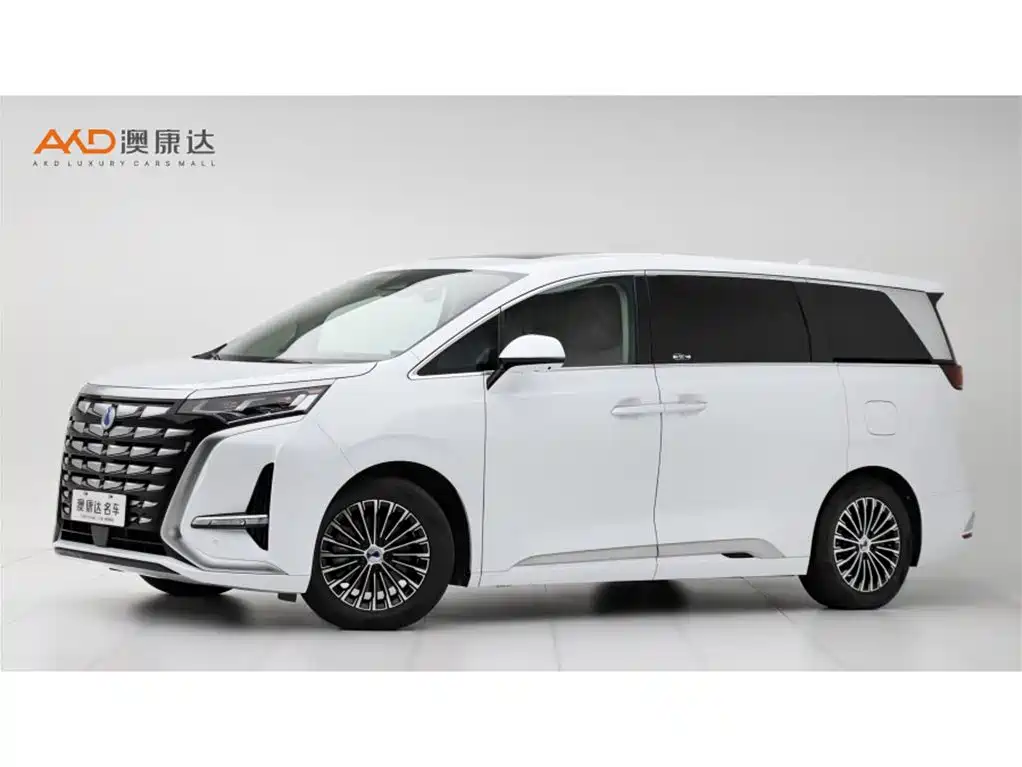 Denza D9 2022 DM-i 1040 Premium
