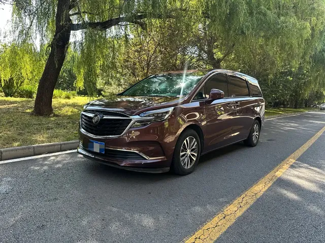 Buick GL8 2022 ES Landmark 653T Premium