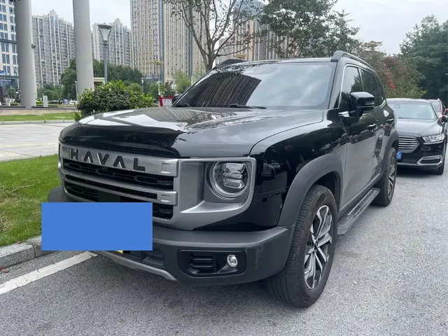 Haval Big Dog 2024 1.5T DCT Border Collie Edition