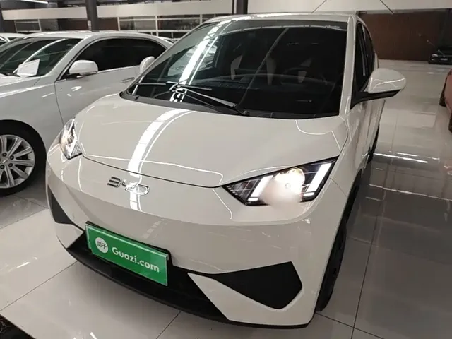 BYD Seagull 2025 Smart Drive Edition 305km Vitality Version