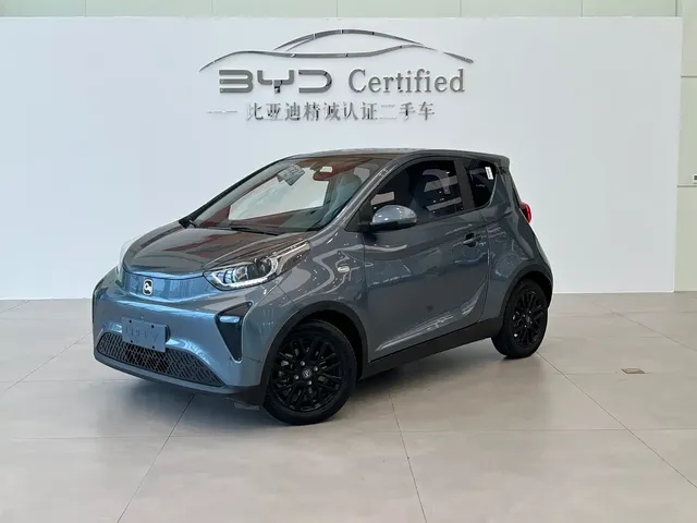 QQ New Energy Little Ant 2024 Youth Edition 321km Favorite Version 29.23kWh