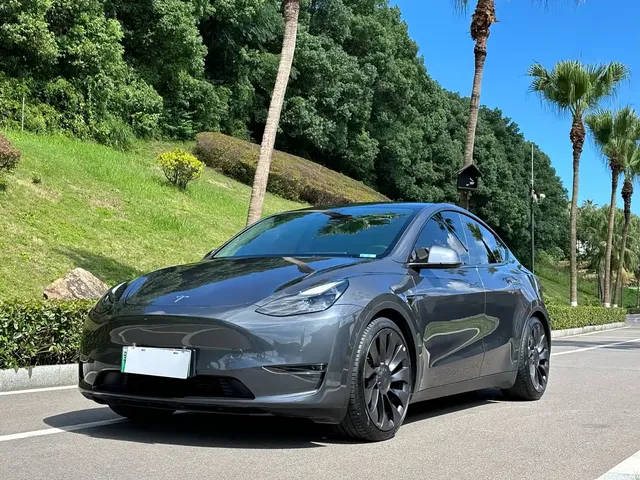 Tesla Model Y 2022 Performance High-Performance All-Wheel Drive Version