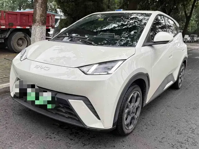 BYD Seagull 2025 305km Freedom