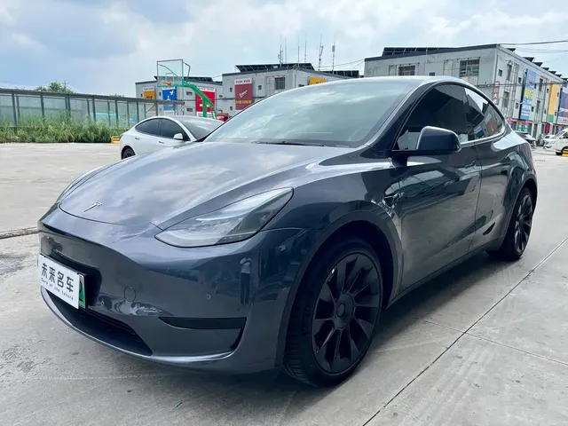 Tesla Model Y 2022 Rear-Wheel Drive Version