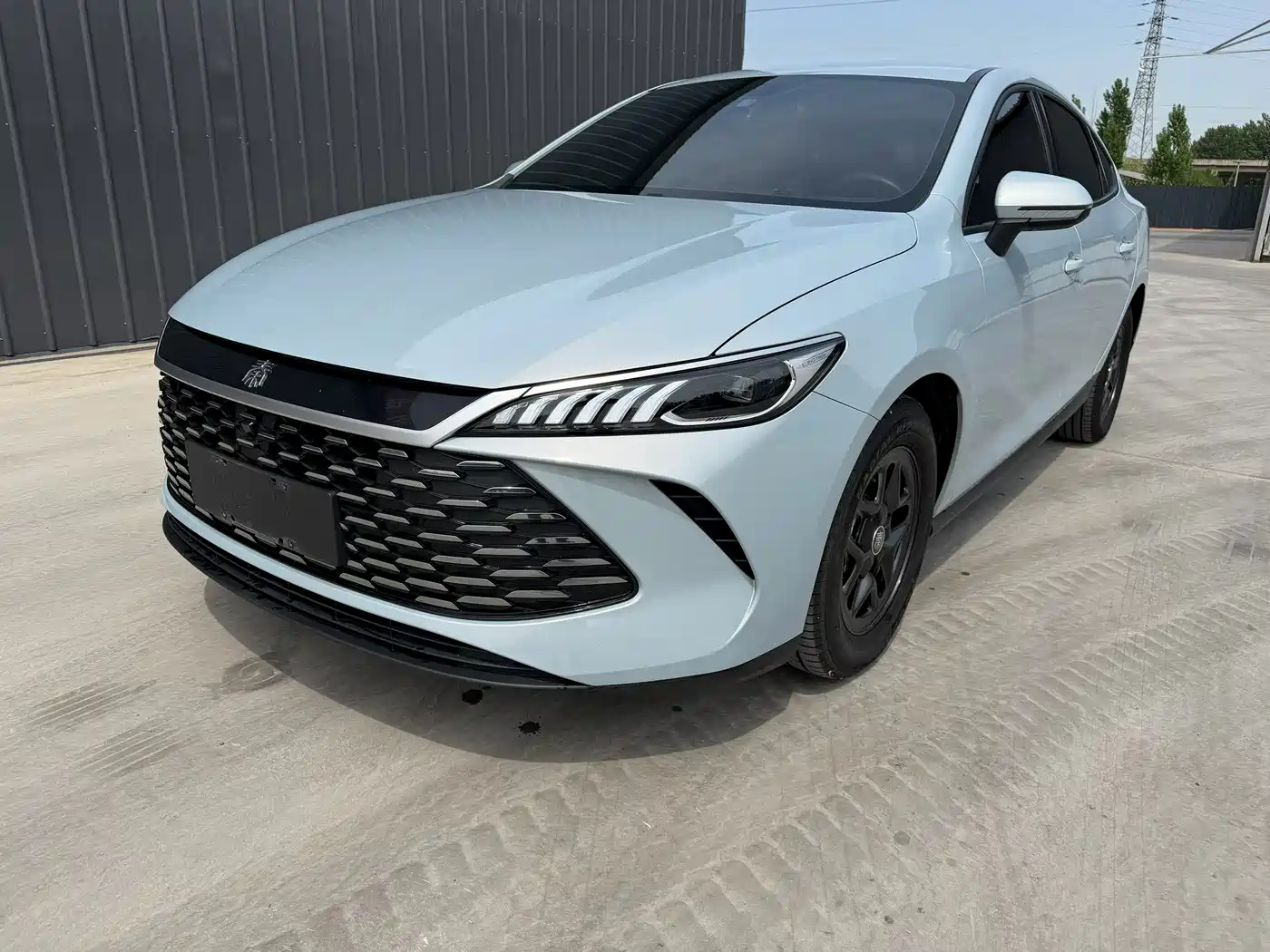 BYD Qin PLUS 2023 Champion Edition DM-i 55KM Leading