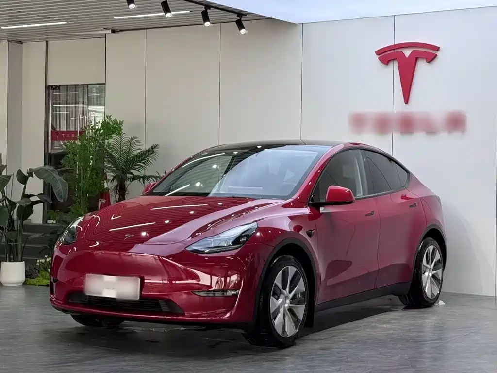 Tesla Model Y 2021 Standard Range Rear-Wheel Drive
