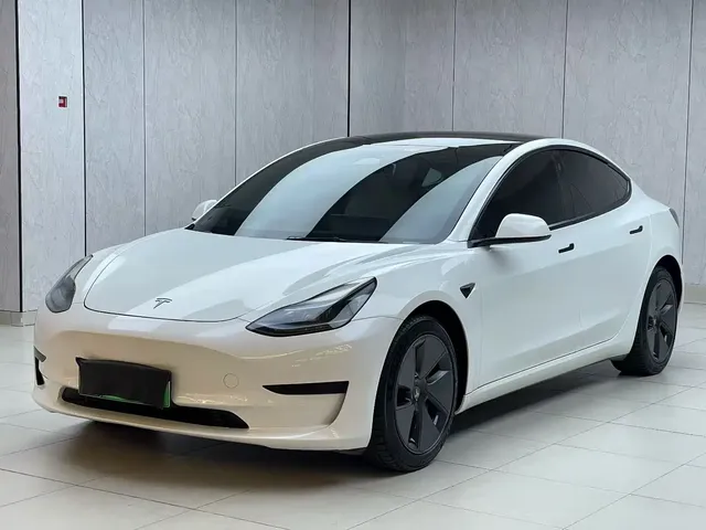 Tesla Model 3 2022 Model Rear-Wheel Drive Version