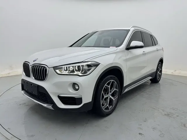 BMW X1 2019 xDrive20Li Premium Model