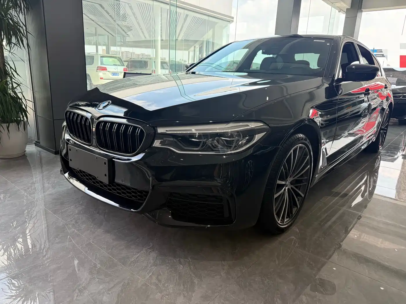 BMW 5 Series 2020 530Li Leading M Sport Package