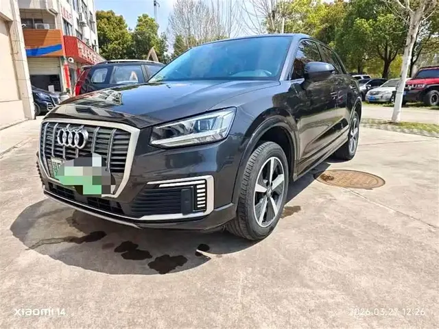 Audi Q2L e-tron 2019 Q2L e-tron Pure Electric Smart Enjoyment