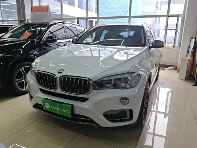 BMW X6 2018 xDrive35i Leading Model