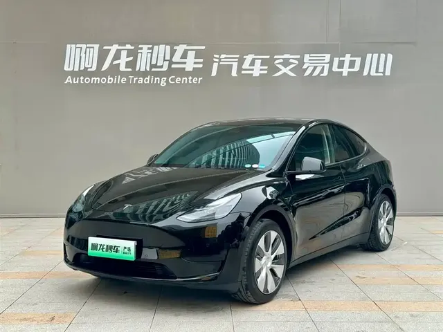 Tesla Model Y 2021 Standard Range Rear-Wheel Drive