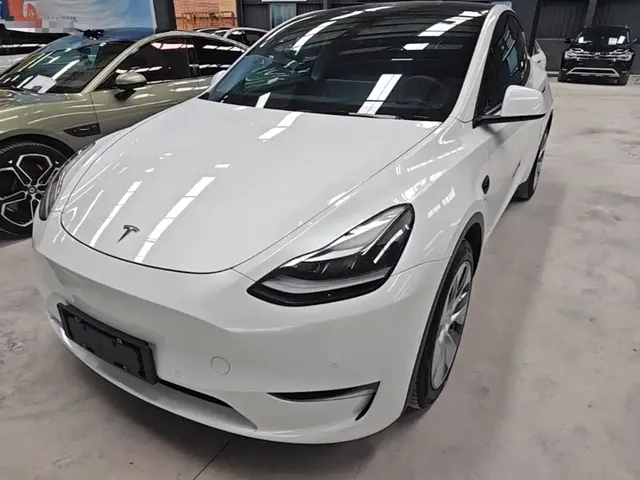 Tesla Model Y 2021 Standard Range Rear-Wheel Drive