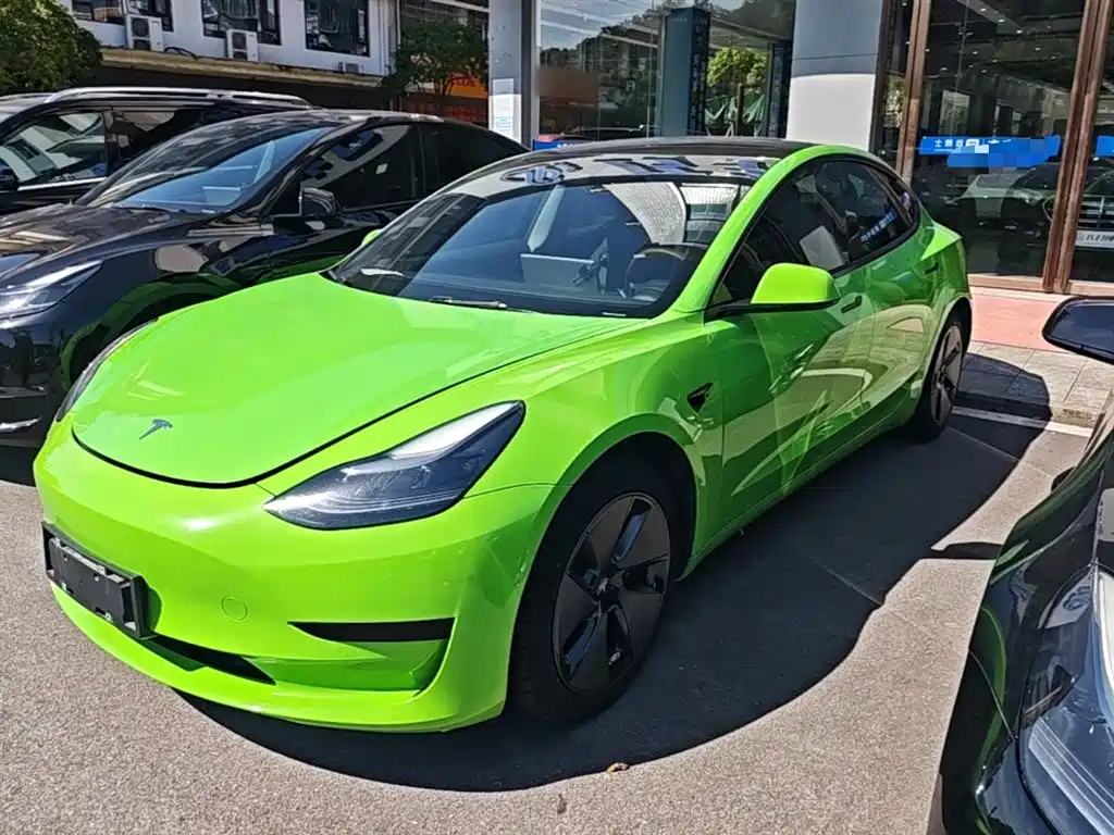 Tesla Model 3 2021 Standard Range Rear-Wheel Drive Upgrade 3D6