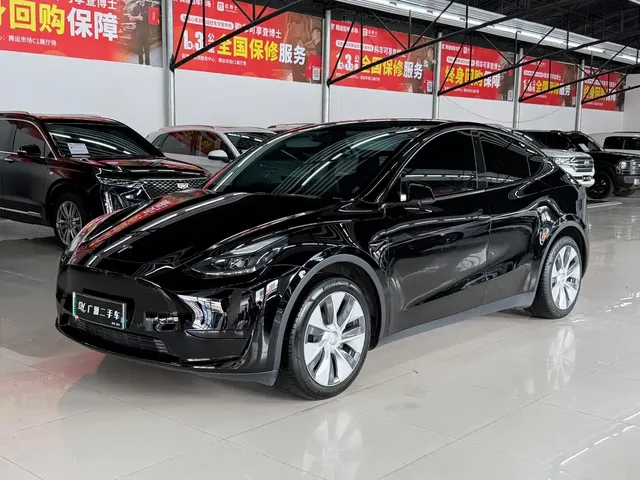 Tesla Model Y 2022 Rear-Wheel Drive Version