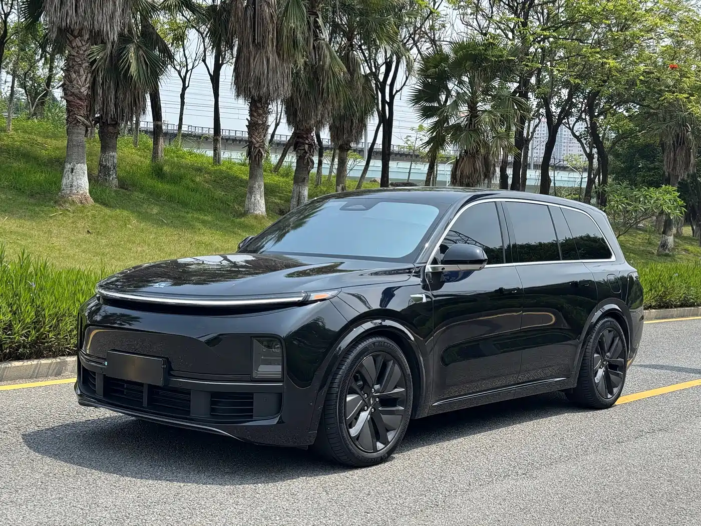 Li Auto Li Xiang L9 2024 Pro