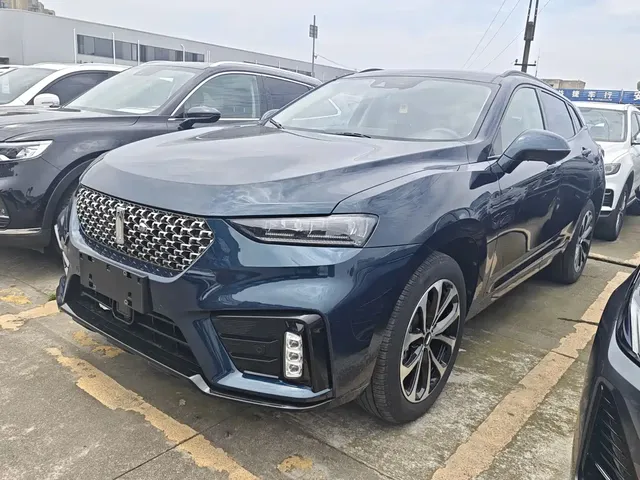 WEY VV7 2020 2.0T Luxury
