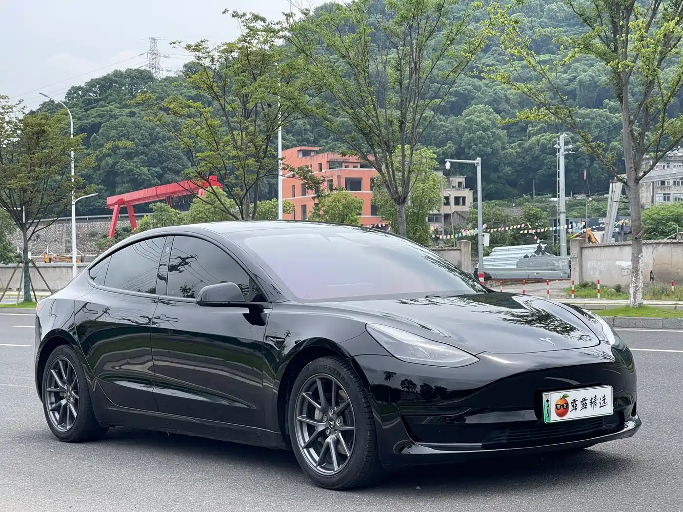 Tesla Model 3 2021 Standard Range Rear-Wheel Drive Upgrade