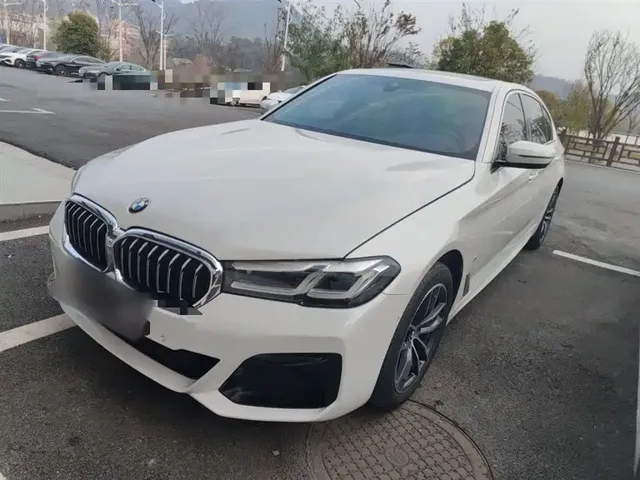BMW 5 Series 2021 530Li Premium Luxury Package