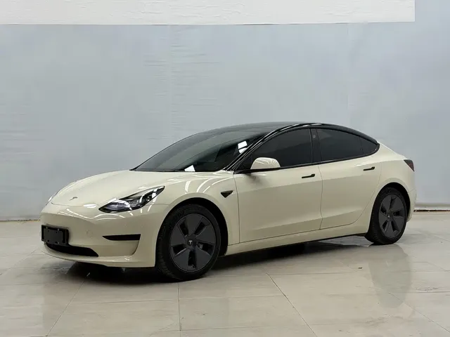 Tesla Model 3 2021 Standard Range Rear-Wheel Drive Upgrade 3D6