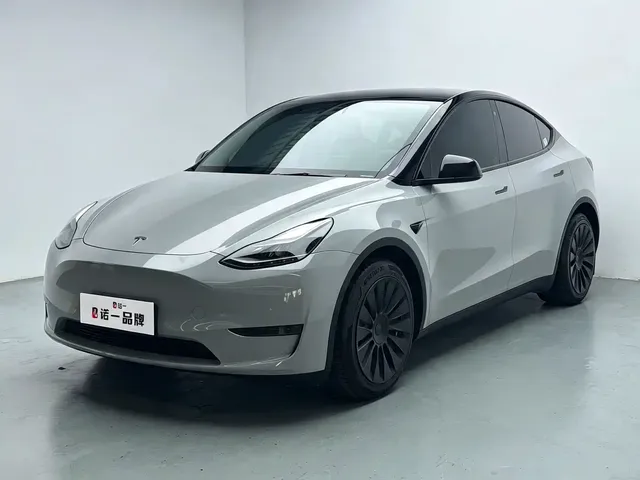 Tesla Model Y 2021 Standard Range Rear-Wheel Drive