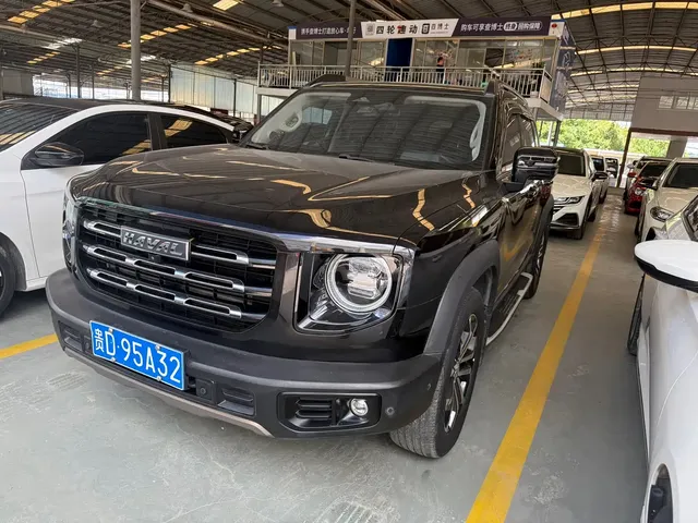 Haval Big Dog 2021 1.5T DCT 2WD Border Collie Edition