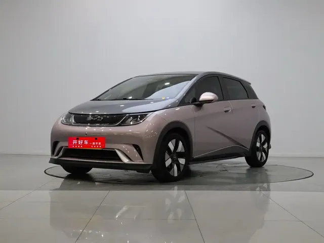 BYD Dolphin 2021 401km Knight Edition
