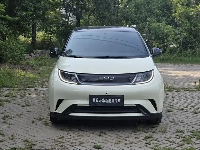 BYD Dolphin 2025 420km Freedom Edition