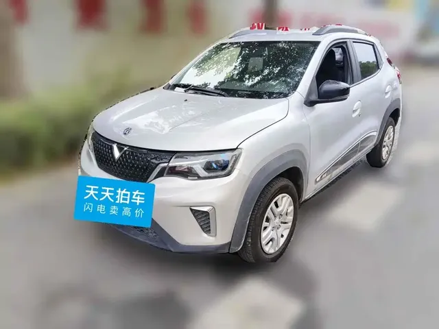 Venucia e30 2020 Elite Edition