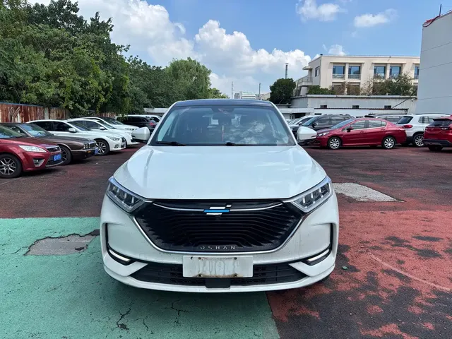Changan Oshan X7 2020 1.5T Auto Premium Model